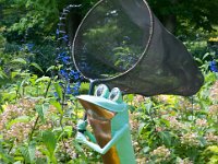 2016 - MortArboretumFrogs 0050 : Morton Arboritum, 2016 - Morton Frogs